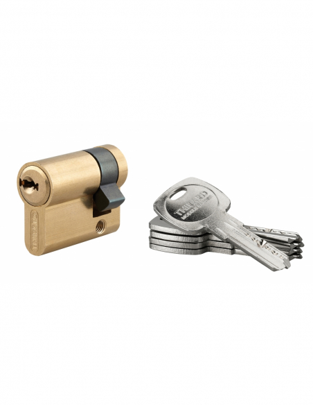 Verrou double entrée Transit 2 A2P* pour porte d'entrée, cylindre 45mm, acier, 4 clés, époxy bronze - THIRARD Verrou de porte Verrou double entrée Transit 2 A2P* pour porte d'entrée, cylindre 45mm, acier, 4 clés, époxy bronze - THIRARD Verrou de porte