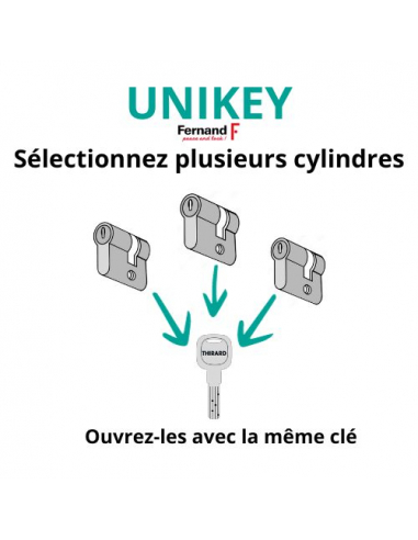 Plaque de fixation pour serrure verticale, à souder, réversible - THIRARD Plaque de fixation