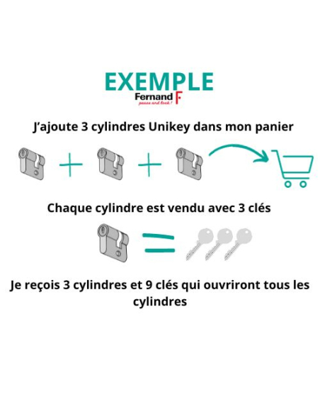 Cadenas à clé Nautic compatible organigramme, laiton, intérieur, anse acier, 55mm, 3 clés - THIRARD Cadenas à clé