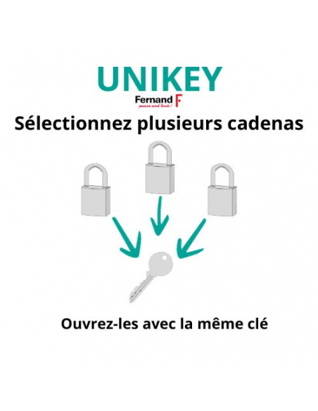 Cadenas à clé Nautic compatible organigramme, laiton, extérieur, anse laiton, 55mm, 3 clés - THIRARD Cadenas à clé