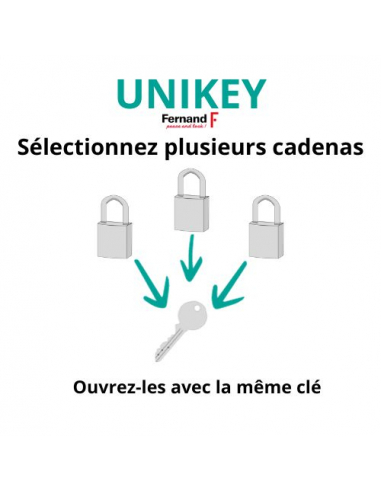 Cadenas à clé Nautic, laiton, intérieur, anse acier, 45mm, 3 clés - THIRARD Cadenas à clé