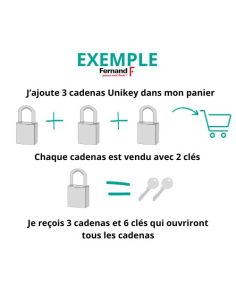 Verrou à bouton Emeraude pour porte d'entrée, cylindre à pompes Ø23mm, 60x90mm, 3 clés - THIRARD Verrous