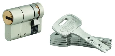 Demi-cylindre de serrure Federal S, 30x10mm, nickel, anti-arrachement, anti-perçage, 5 clés - THIRARD