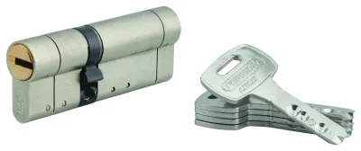 Cylindre de serrure double entrée Federal S, 30x50mm, nickel, anti-arrachement, anti-perçage, 5 clés - THIRARD