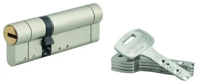 Cylindre de serrure double entrée Federal S, 30x60mm, nickel, anti-arrachement, anti-perçage, 5 clés - THIRARD