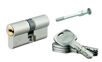Cylindre de serrure double entrée Transit 2 pour serrure Trimax A2P*, 30x30mm, nickel, 4 clés - THIRARD