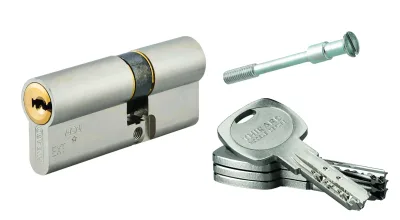 Cylindre de serrure double entrée Transit 2 pour Trimax A2P*, 30x40mm, nickel, 4 clés - THIRARD