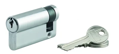 Demi-cylindre de serrure Ecopro, 50x10mm, anti-arrachement, 3 clés, nickel - SP