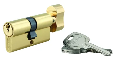 Cylindre de serrure à bouton, 30Bx30mm, anti-arrachement, laiton, 3 clés - THIRARD