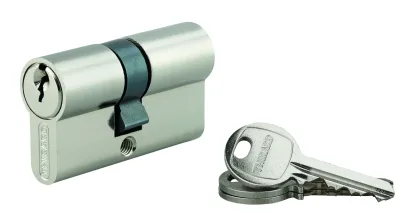 Cylindre de serrure double entrée SA, 25x30mm, anti-arrachement, nickel, 3 clés - THIRARD