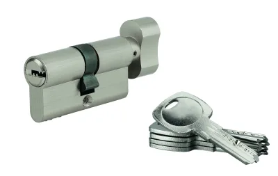 Cylindre de serrure à bouton 5G, 30Bx30mm, nickel, anti-arrachement, 5 clés - SP