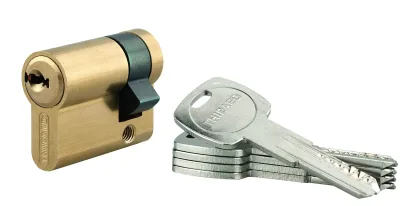 Demi-cylindre de serrure Trafic 6, 30x10mm, anti-arrachement, anti-perçage, laiton, 5 clés - THIRARD