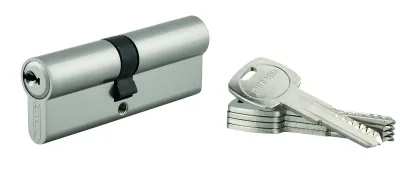 Cylindre de serrure double entrée Trafic 6, 40x45mm, anti-arrachement, anti-perçage, nickel, 5 clés - THIRARD