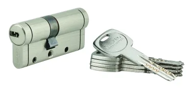 Cylindre de serrure Trafic 12, 30x40mm, nickel, anti-arrachement, anti-perçage, anti-casse, 5 clés - THIRARD