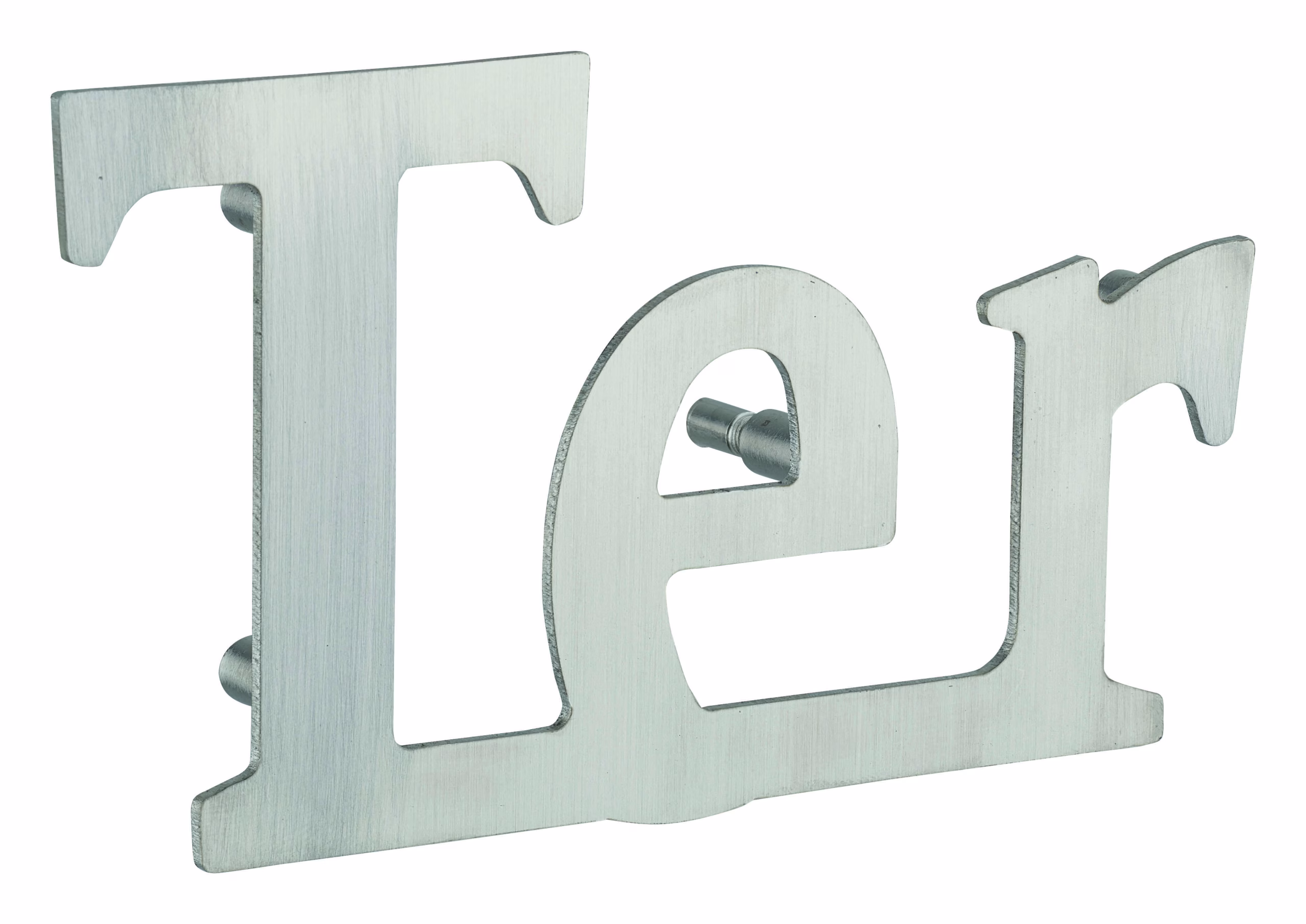 Lettre TER inox H.76mm à visser - THIRARD