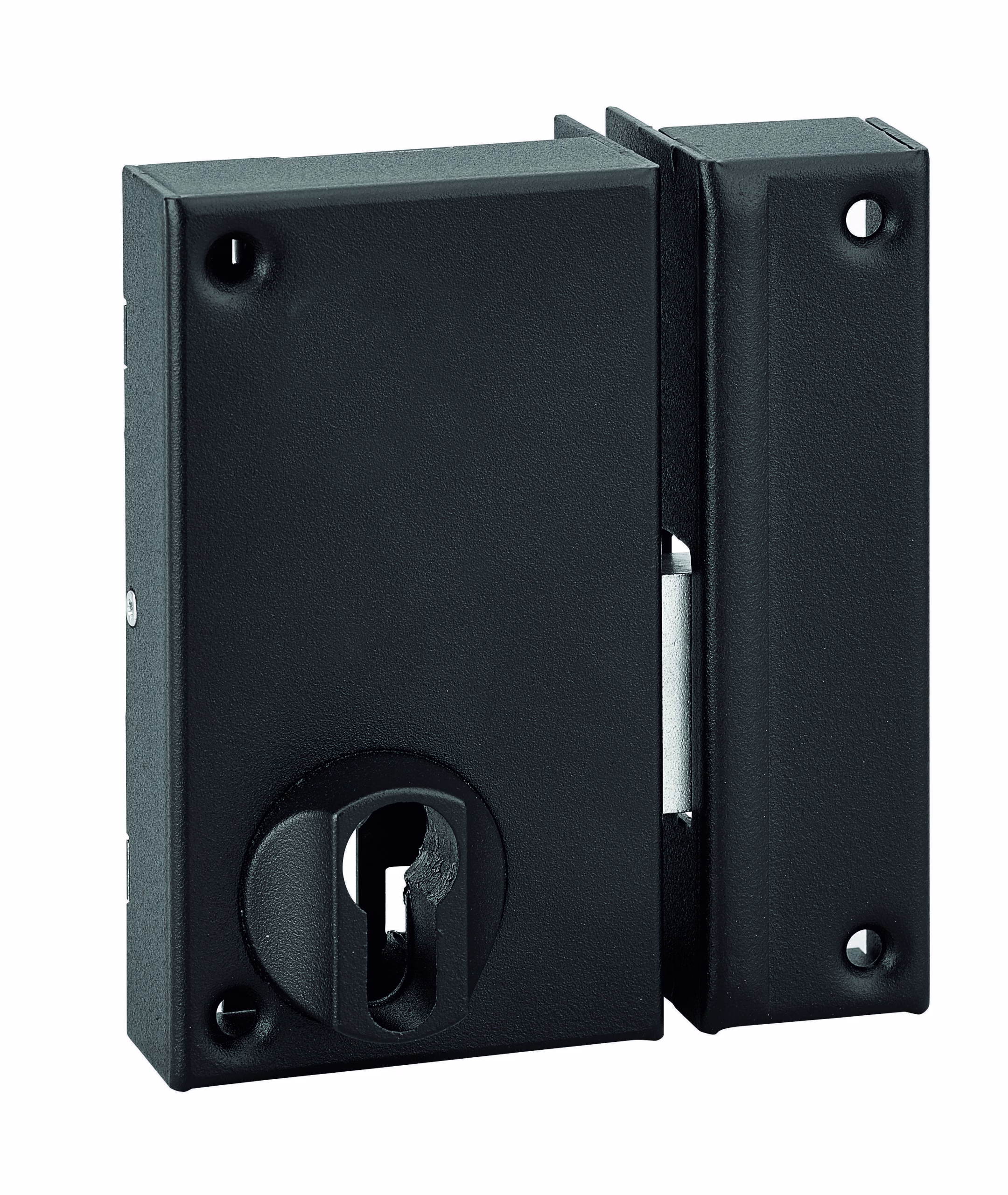 Boitier de serrure verticale en applique double entrée pour porte de cave, pêne seul, droite, axe 45mm, 75x130mm, noir - THIRARD