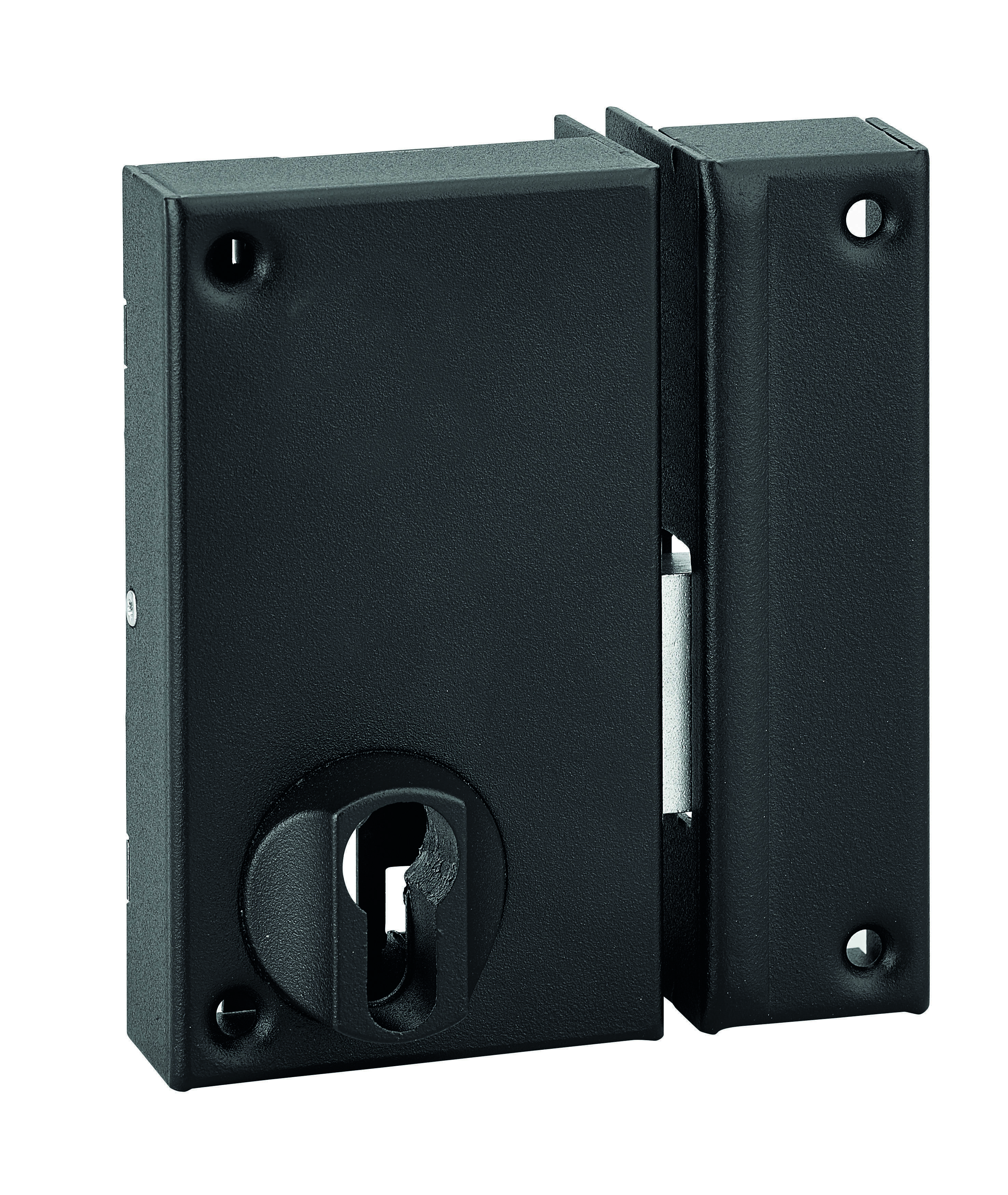 Boitier de serrure verticale en applique double entrée pour porte de cave, pêne seul, droite, axe 45mm, 75x130mm, noir - THIRARD