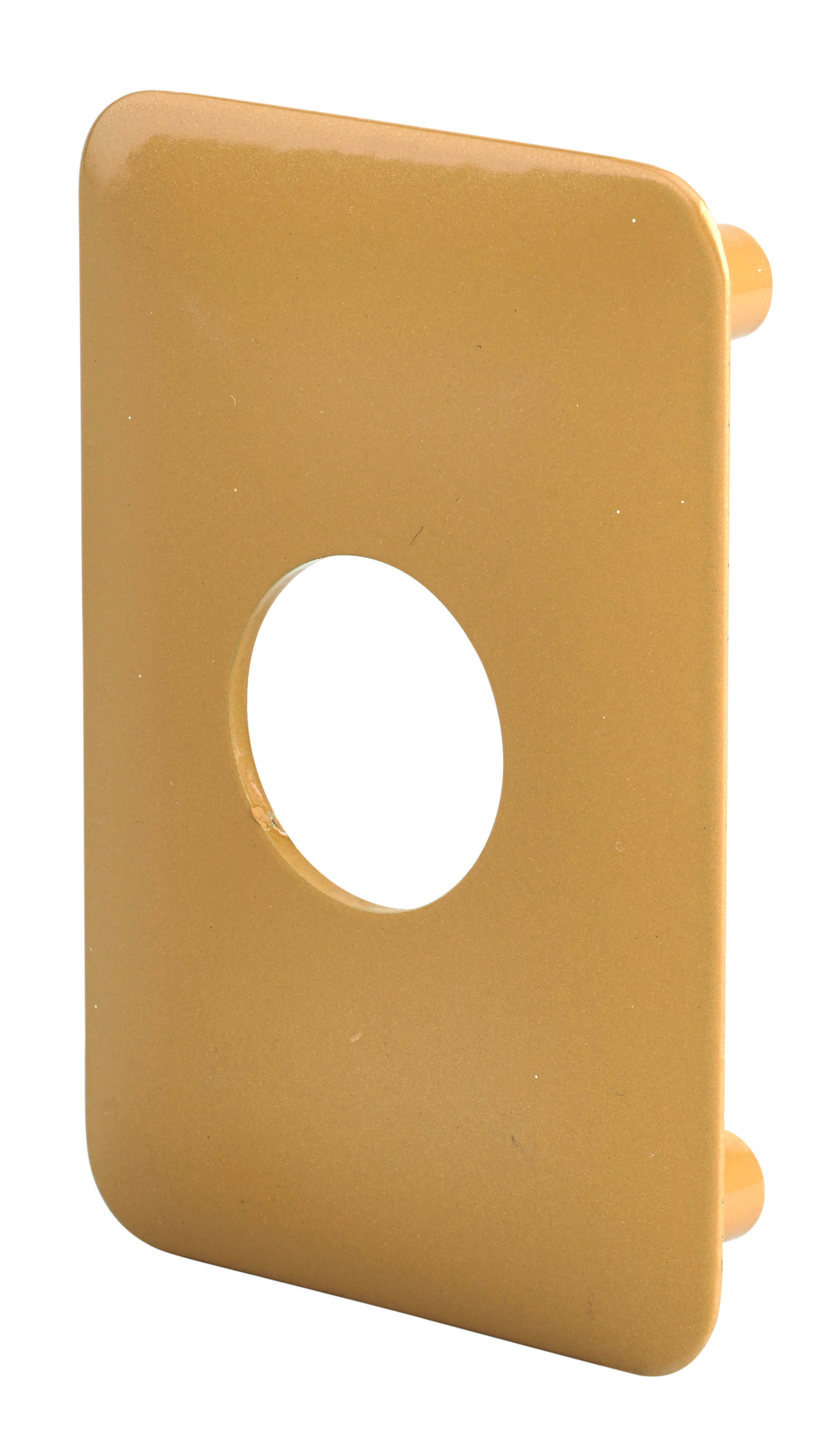 Plaque de renfort pour verrou Surveyor, fixation par vis, epoxy bronze - THIRARD