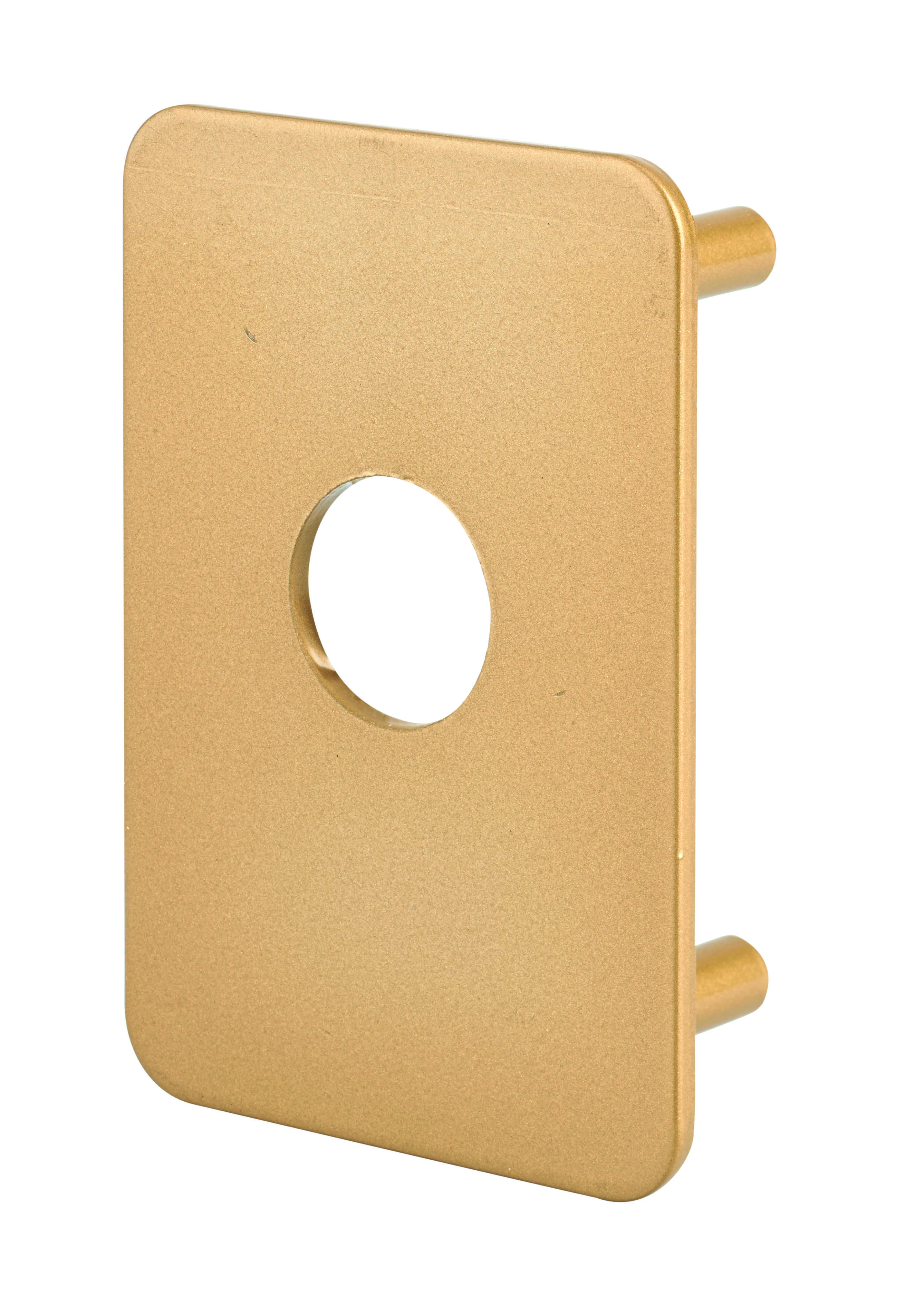 Plaque de renfort pour verrou Transit 2 et Capital, epoxy or - THIRARD