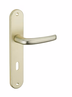 ENSEMBLE ALU ENTR' AXE 195MM - CHAMPAGNE - TROU DE CLE