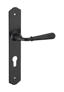 Ensemble de poignées pour porte d'entrée Charon trou de cylindre, carré 7mm, entr'axes 195mm, acier patiné - THIRARD