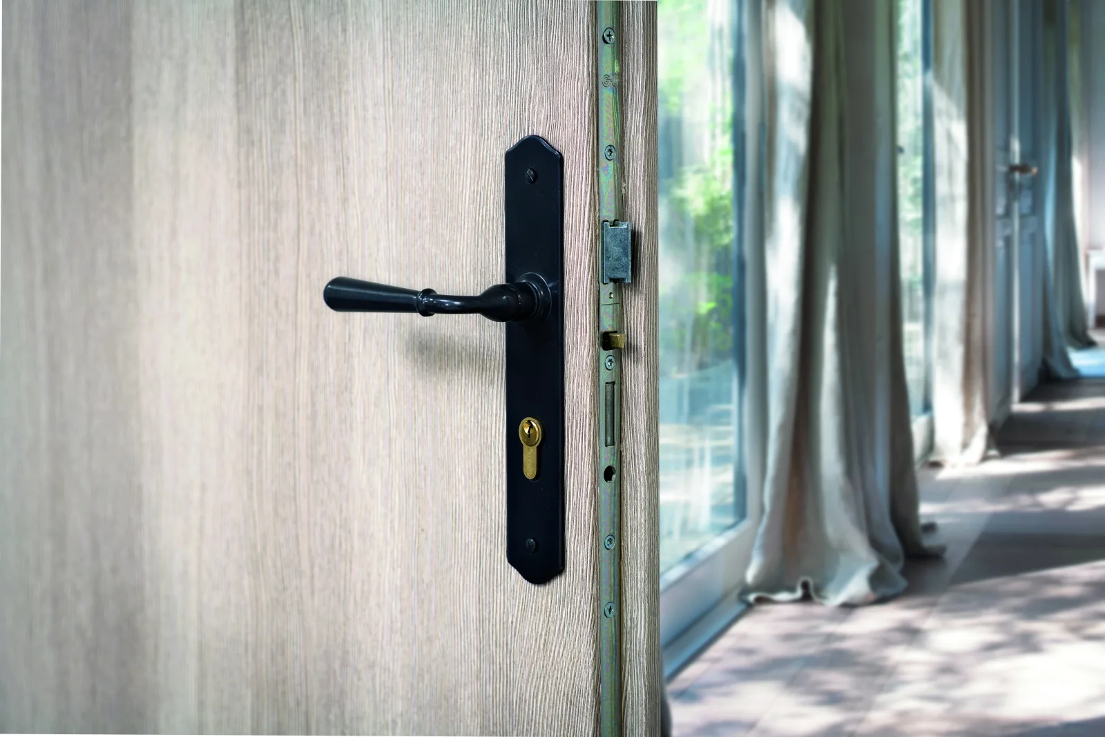 Poignée porte d'entrée